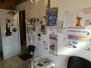 Pontonnier Dominique à Saint-Porchaire