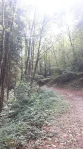 Cabinet vétérinaire Velvet Saint Pierre de Trivisy à Saint-Pierre-de-Trivisy