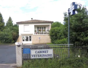 Cabinet Vétérinaire THONG à Hourtin