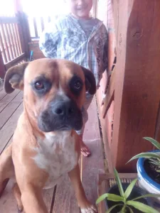 Clinique Vétérinaire du Docteur Monroy à Cordes-sur-Ciel