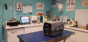 Cabinet vétérinaire du Thiey à Saint-Vallier-de-Thiey