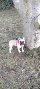 Pelgrim Patrick à Quarouble