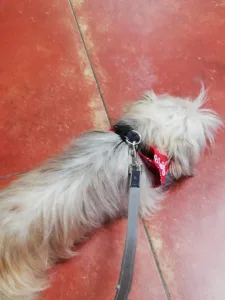 Clinica Natura à Mûrs-Erigné