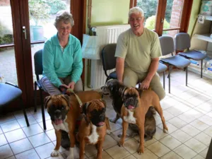 Cabinet Vétérinaire de Bleue-Maison Dr J. PAULUS à Éperlecques