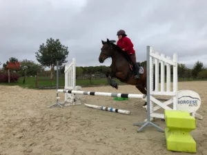 Cabinet Pegase à Gazeran