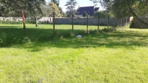 Cabinet vétérinaire d’Orgerus à Orgerus