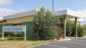 VETinLANGON – Clinique vétérinaire indépendante – Docteure Caroline Dabas à Langon