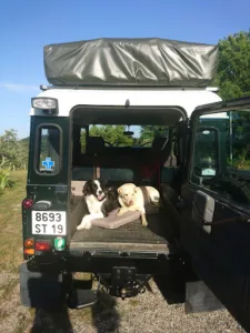 Vandendaele Michele Jeanine Ghislaine à Goulles