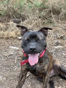 Dr MIALHE Magali à Gaillan-en-Médoc