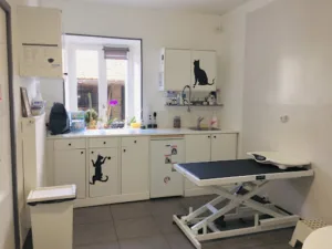 Cabinet veterinaire De Sousa Grange à Essertines-en-Donzy