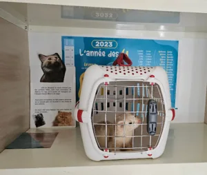 Cabinet Vétérinaire de la Fare à La Fare-les-Oliviers