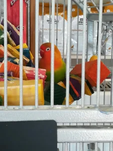 Caron Philippe à Mûrs-Erigné