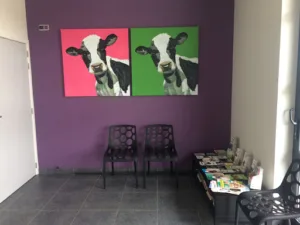 Hoorelbèke Ivo à Eecke