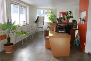 Cabinet Vétérinaire La Roseraie Victorine à Marnaz