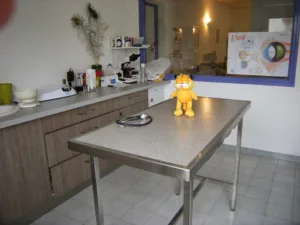 Veterinary cabinet of St. Bres à Saint-Brès