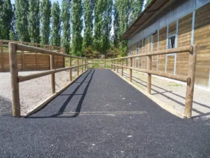 Clinique vétérinaire équine – GVE à Drocourt