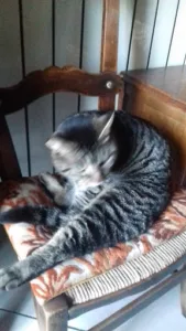 Chadebec De Lavalade Patrick à Chanteix