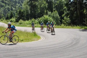 Clinique Vétérinaire Les Oisillons à Giromagny