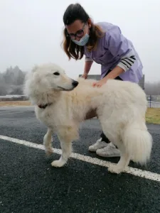 Veterinary Clinic Rimpôt Agnès à Saint-Priest-de-Gimel