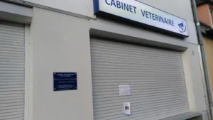 Cabinet vétérinaire CVET Le Coudray-Montceaux à Le Coudray-Montceaux