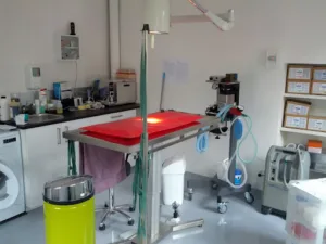 Cabinet Vétérinaire du Pays de Menat à Menat