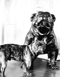 Veterinary Clinic Beauvoir à Olivet