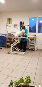 Selarl VETOTAUFFAY à Val-de-Scie