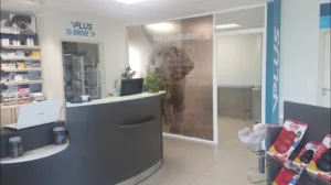 Clinique Vétérinaire VPLUS de Saint André de Cubzac – Dr Carraud et Dr Fabre à Saint-André-de-Cubzac