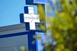 Clinique vétérinaire des Capitelles à Olonzac