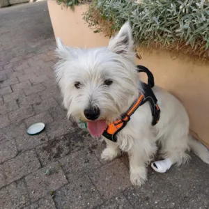 Cabinet vétérinaire de l’Arc à Modane