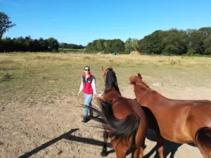 VET LIFE à Saint-Paterne-Racan