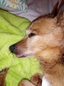 Van Daele Lieven à Poiseul-la-Grange