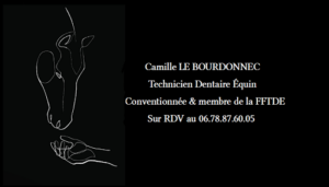 Camille LE BOURDONNEC Dentiste Équin TDE à Lanrodec