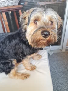 Levy Nathalie à Entzheim