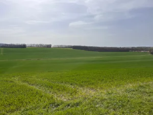 Santer’vet SCP à Montdidier