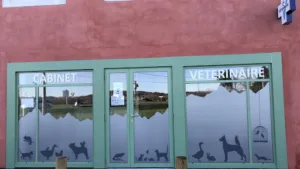 Cabinet véterinaire Playoust à Susmiou