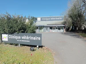 Clinique vétérinaire de Merdrignac / Groupe Vétérinaire de Broceliande à Merdrignac