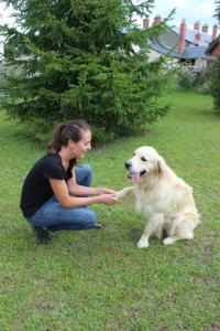 Emmenez votre animal de compagnie pour des soins et suivis auprès avec Marion Redon Ostéopathe Animalier inscrit dans notre annuaire pour trouver votre Ostéopathe autour de moi sur La Riche pour prendre soin de votre chat, chien, etc. Marion Redon […]
