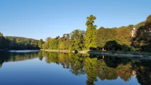 Emmenez votre animal de compagnie pour des soins et suivis auprès avec Jeambourquin Hervé inscrit dans notre annuaire pour trouver votre Vétérinaire autour de moi sur Ville-d’Avray pour prendre soin de votre chat, chien, etc. Jeambourquin Hervé est un vétérinaire […]