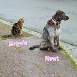 Cabinet Vétérinaire Univet Dourdan à Dourdan