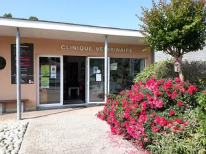 Clinique vétérinaire de l’Illot (SELARLU VETOILLOT) à La Lande-de-Fronsac