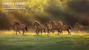 Carole Debus à Lanans