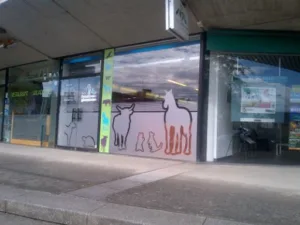 Clinique Vétérinaire de la baie à Yffiniac