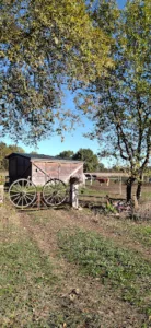Cabinet vétérinaire d’Arouille à Saint-Justin