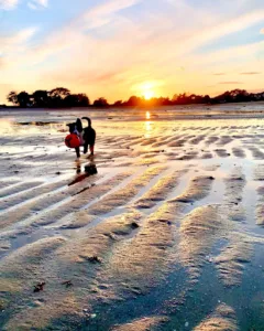 Clinique Vétérinaire du Léguer à Lannion