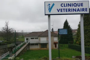 Clinique vétérinaire de Seilhac à Seilhac