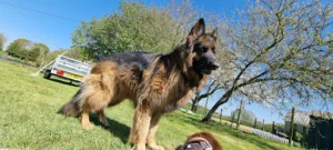 Galès Anne-Marie à Guilvinec