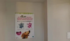 Veterinary Clinic of Cat’Pattes à Brunoy