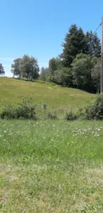 Reniers Paul à Golinhac