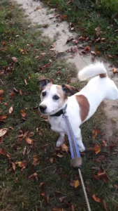 Dr Simonet Marie-France à Noyers-Saint-Martin